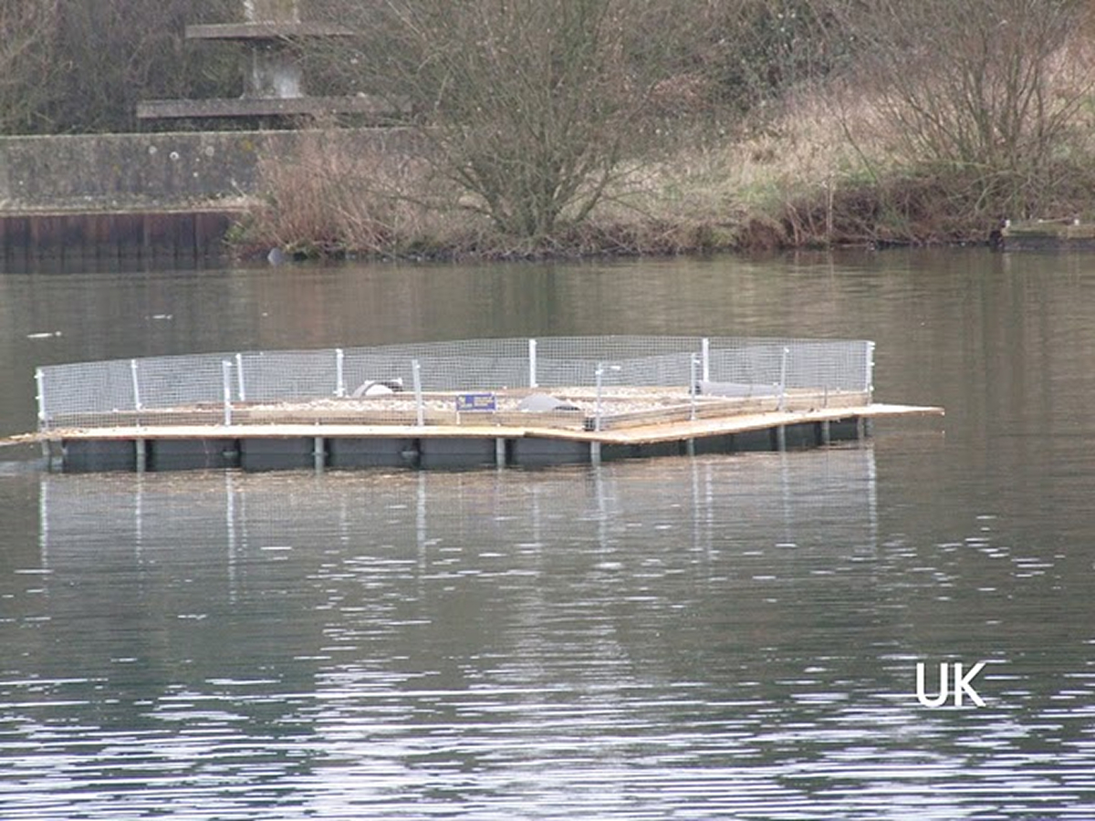 Commercial-Docks-2